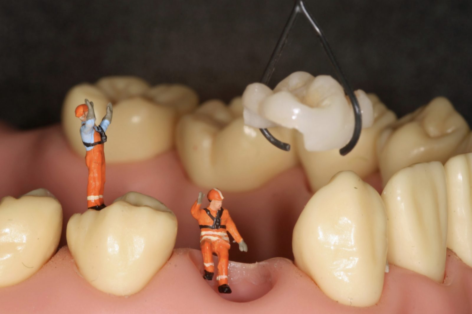 How a Psychology Degree Made Me a Better Dentist