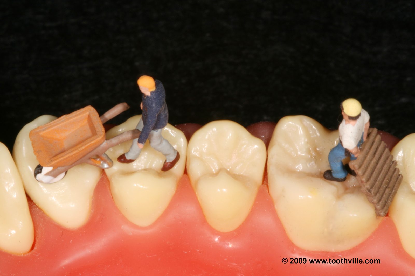 Why I Became a Specialist Orthodontist — and What That Word Actually Means