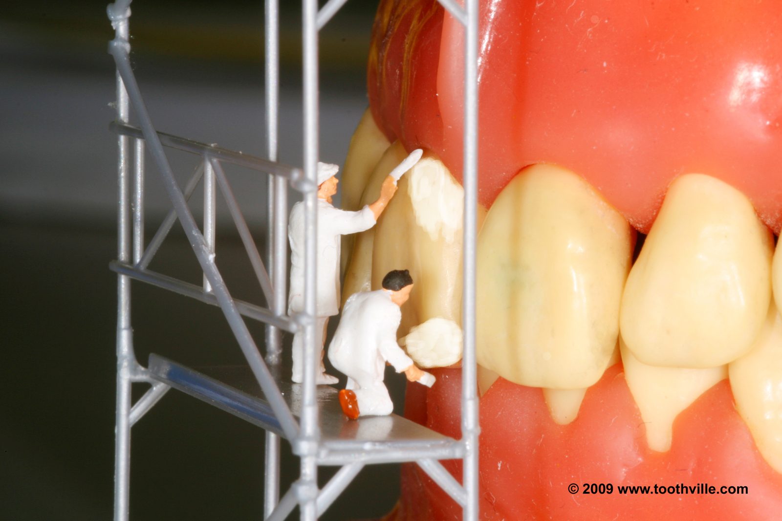 Becoming a Really Good General Dentist — With Special Interests
